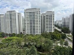 Blk 224C Matilda Edge (Punggol), HDB 4 Rooms #532548211